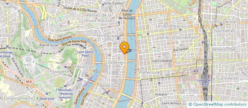 localisation de l'entreprise LES DEBRAILLE.E.S  LYON