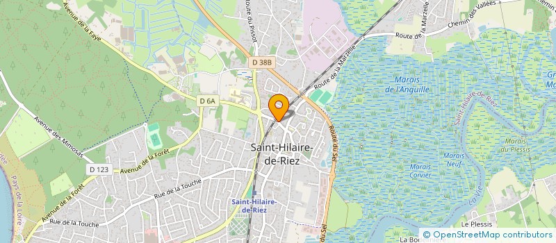 localisation de l'entreprise LES DEBUSKEURS  SAINT-HILAIRE-DE-RIEZ