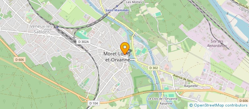 localisation de l'entreprise LES DEBUTANTS  MORET-LOING-ET-ORVANNE