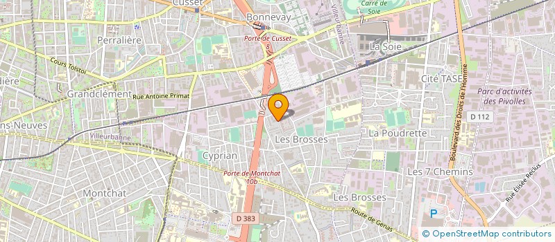 localisation de l'entreprise LES DELICES DE BEL AIR à VILLEURBANNE