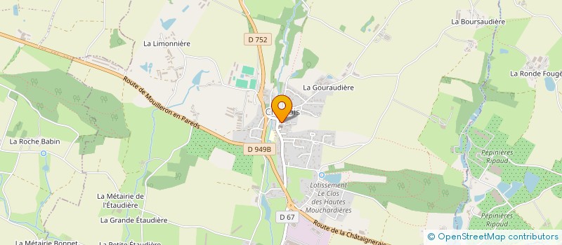 localisation de l'entreprise LES DELICES DE CHEFFOIS  CHEFFOIS