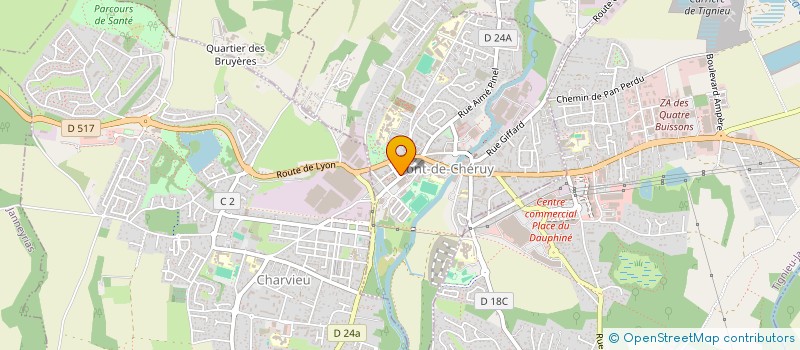 localisation de l'entreprise LES DELICES DE-CHERUY  PONT-DE-CHERUY