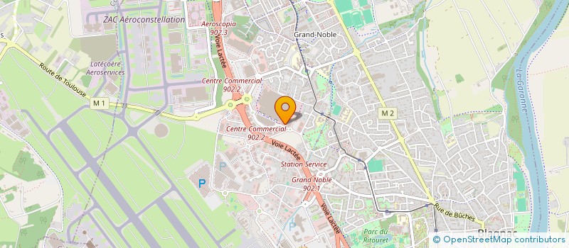 localisation de l'entreprise LES DELICES DE FLOR  BLAGNAC