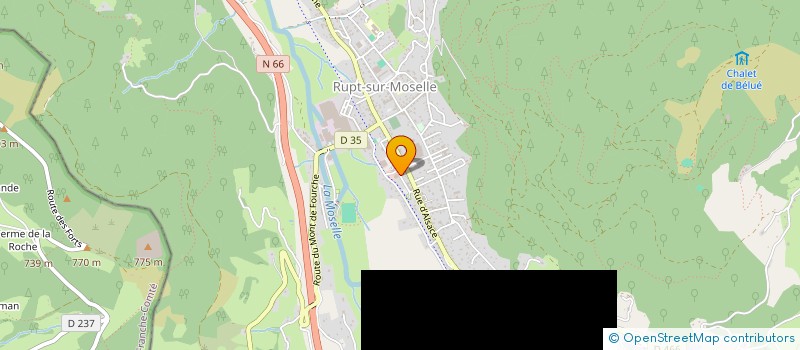 localisation de l'entreprise LES DELICES DE LA BRESSE à RUPT-SUR-MOSELLE