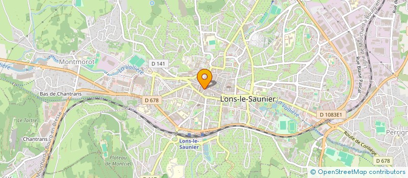 localisation de l'entreprise LES DELICES DE LA TABLE à LONS-LE-SAUNIER