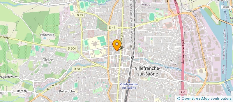localisation de l'entreprise LES DELICES DE NINO à VILLEFRANCHE-SUR-SAONE