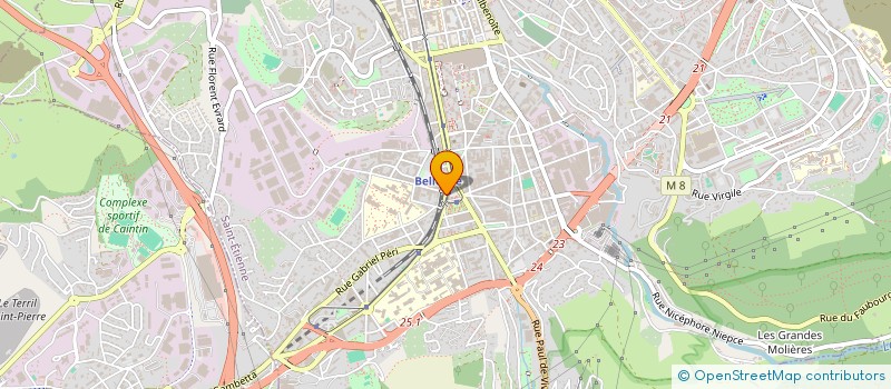 localisation de l'entreprise LES DELICES DE SAM  SAINT-ETIENNE