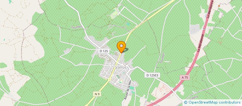 localisation de l'entreprise LES DELICES DU MAS à ALIGNAN-DU-VENT