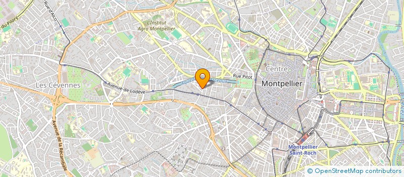 localisation de l'entreprise LES DELICES DU SUD à MONTPELLIER