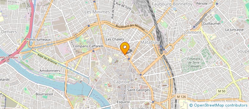 localisation de l'entreprise LES DELICES RUSSES à TOULOUSE