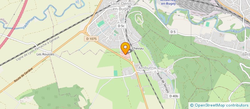 localisation de l'entreprise LES DEMENAGEURS DE L'AIN  AMBERIEU-EN-BUGEY