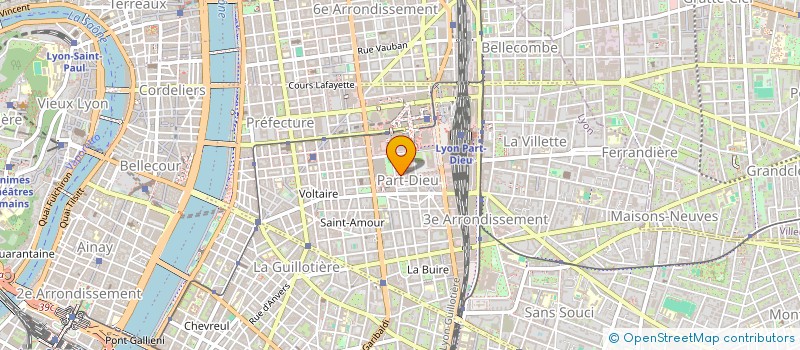 localisation de l'entreprise LES DEMENINGEURS  LYON