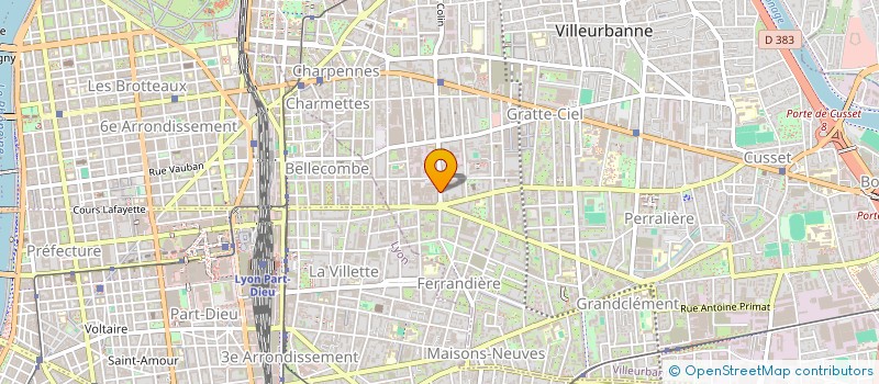 localisation de l'entreprise LES DEMEURES RHONE ALPES à VILLEURBANNE