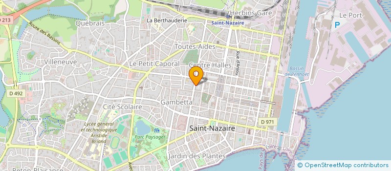 localisation de l'entreprise LES DEPARLEURS  SAINT-NAZAIRE