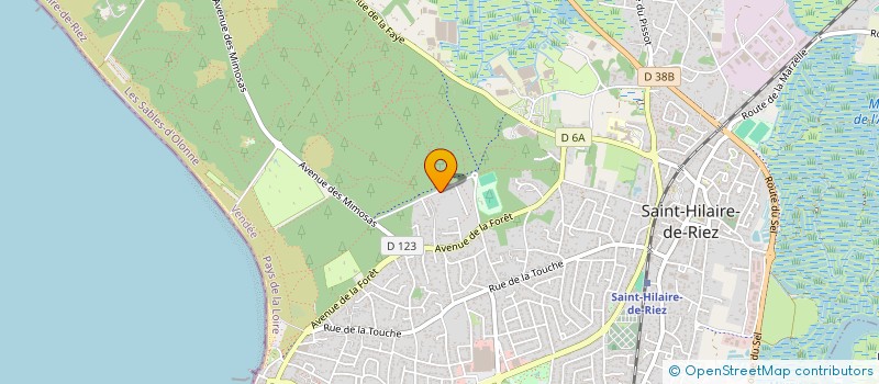 localisation de l'entreprise LES DES ROUILLES  SAINT-HILAIRE-DE-RIEZ