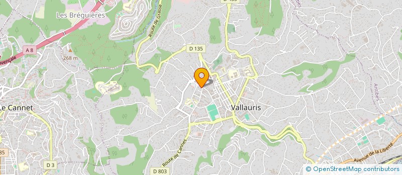 localisation de l'entreprise LES DEUX AILES à VALLAURIS