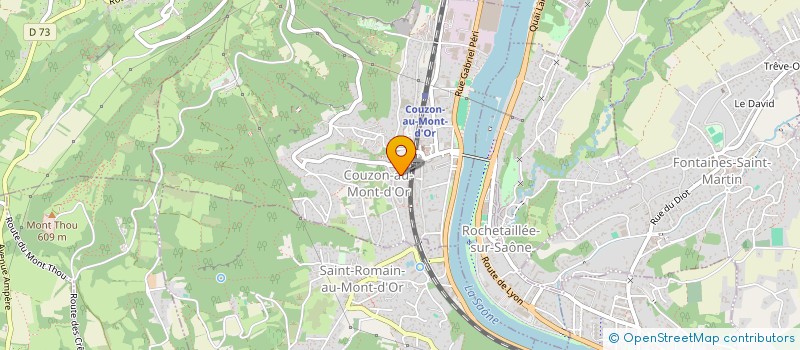 localisation de l'entreprise LES DEUX C  COUZON AU MONT D'OR