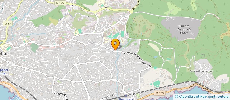 localisation de l'entreprise LES DEUX LIONS  SAINT-RAPHAEL