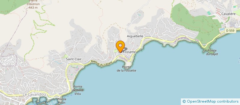 localisation de l'entreprise LES DEUX OLIVIERS à LE LAVANDOU