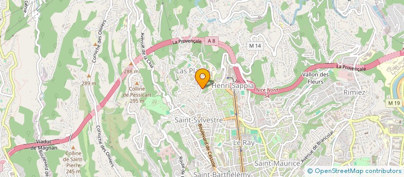 localisation de l'entreprise LES DEUX PALMIERS à NICE