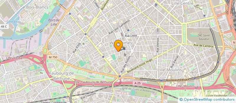 localisation de l'entreprise LES DEUX RIVES à LILLE