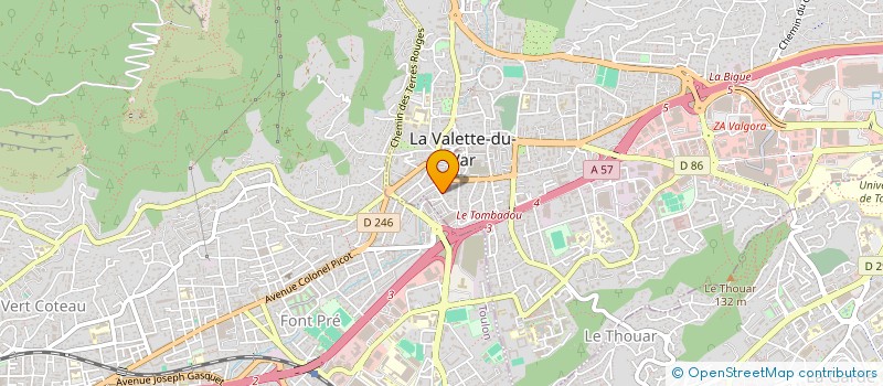 localisation de l'entreprise LES DIAMANTS MANDARINS à LA VALETTE-DU-VAR