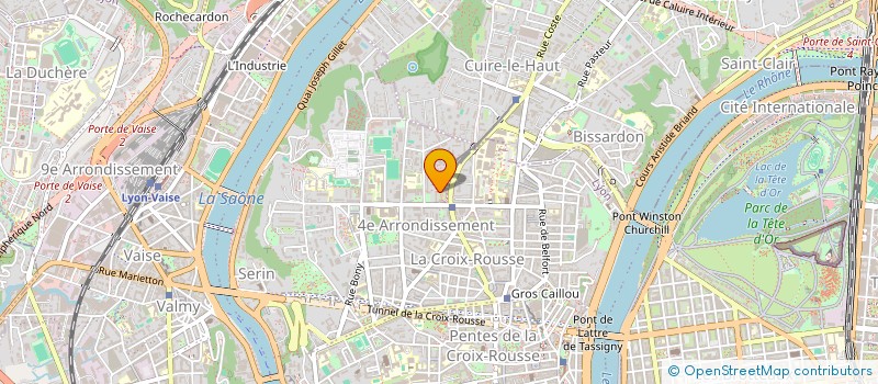 localisation de l'entreprise LES DIEUX FAMILIERS à LYON