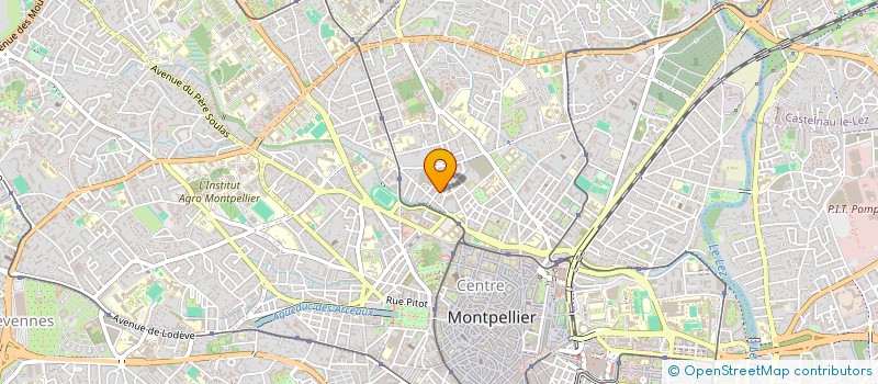 localisation de l'entreprise LES DIGITALES CONSULTING à MONTPELLIER