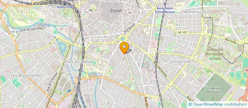 localisation de l'entreprise LES DIJONCTES  DIJON