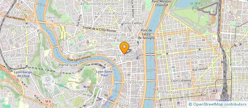 localisation de l'entreprise LES DINGOS à LYON