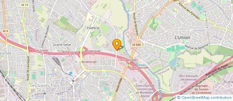 localisation de l'entreprise LES DISEUSES DE BONNE AMERTUME à TOULOUSE