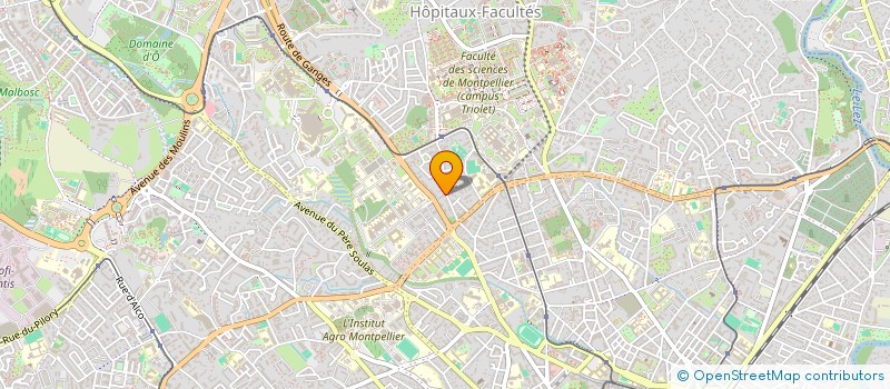 localisation de l'entreprise LES DISPENSAIRES DE L'OSTEOPATHIE  MONTPELLIER