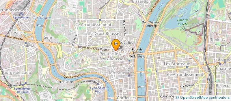 localisation de l'entreprise LES DIVERS GENS à LYON