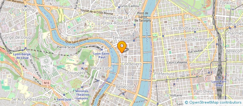 localisation de l'entreprise LES DIVINES à LYON
