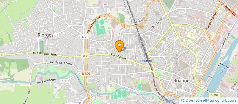 localisation de l'entreprise LES DOCKS à ROANNE