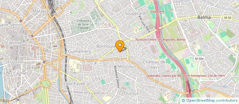 localisation de l'entreprise LES DOUDOUS à TOULOUSE