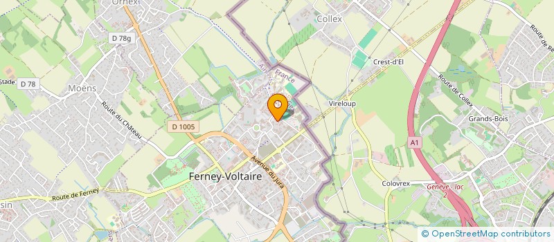 localisation de l'entreprise LES DOUDOUS à FERNEY-VOLTAIRE