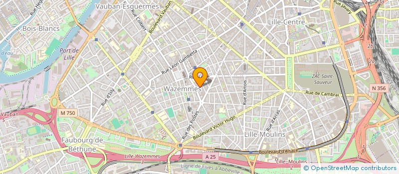 localisation de l'entreprise LES DOUZE MERCENAIRES à LILLE