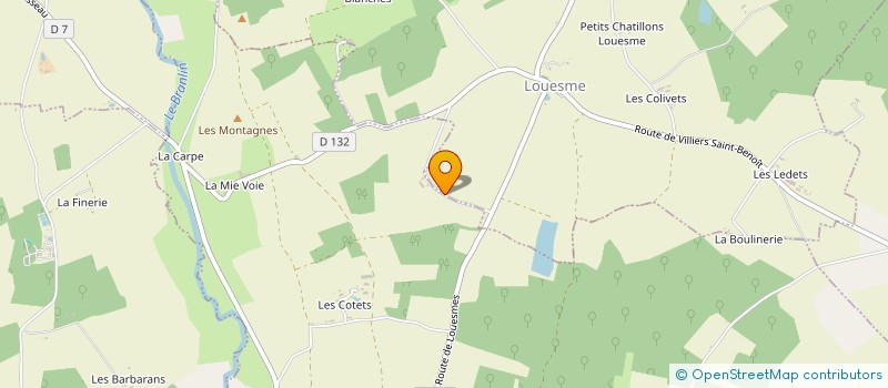 localisation de l'entreprise LES DROLES D'ANGINS à TANNERRE EN PUISAYE