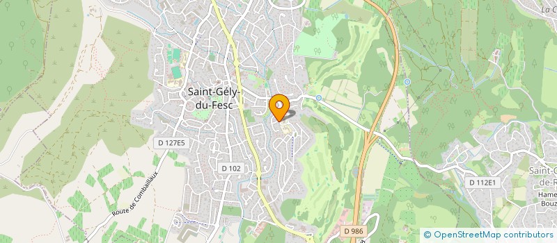 localisation de l'entreprise LES ECUREUILS  SAINT-GELY-DU-FESC