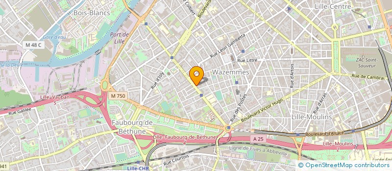 localisation de l'entreprise LES EDITIONS DE L'ENCRE VIVE à LILLE