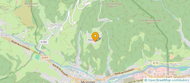 localisation de l'entreprise LES EGLANTINES  MUNSTER