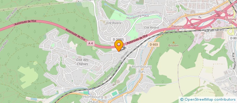 localisation de l'entreprise LES ENFANTS DE L'INNOCENCE  HOMBOURG-HAUT