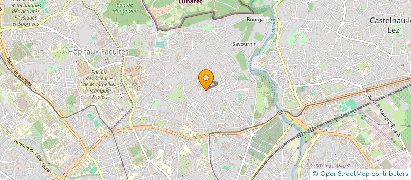 localisation de l'entreprise LES ENFANTS RUSSES DE MONTPELLIER à MONTPELLIER