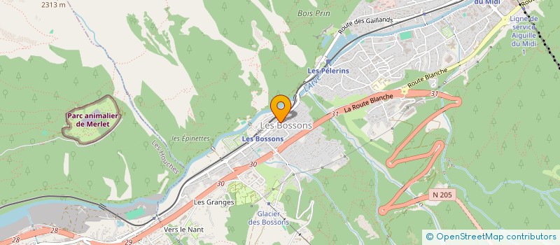 localisation de l'entreprise LES ENVERSINS à CHAMONIX-MONT-BLANC