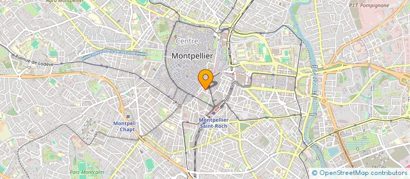 localisation de l'entreprise LES ESCRIMEURS à MONTPELLIER