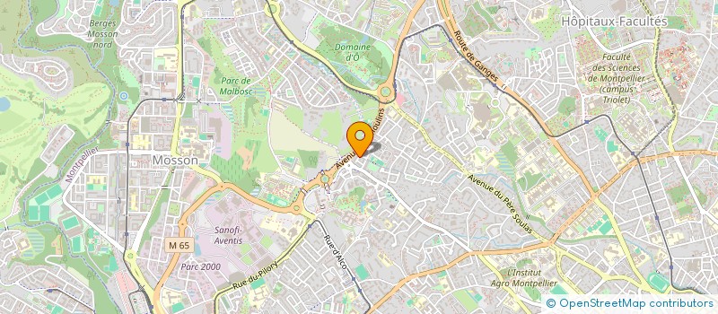 localisation de l'entreprise LES ETANCHEURS DU MIDI à MONTPELLIER