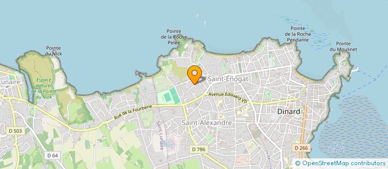 localisation de l'entreprise LES FAONS  DINARD