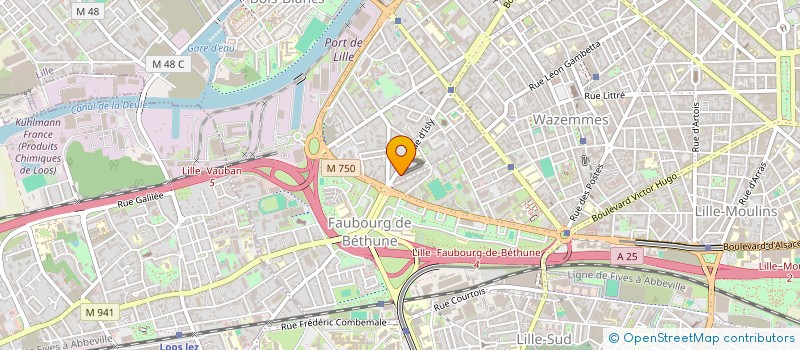 localisation de l'entreprise LES FILLES DU LEVANT à LILLE