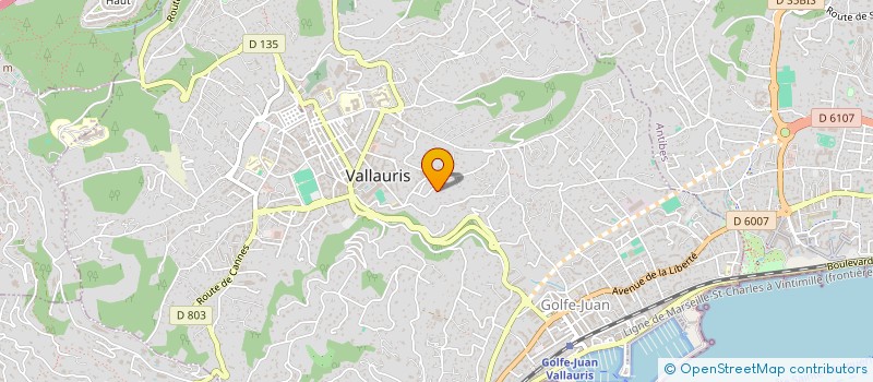 localisation de l'entreprise LES FILMS DE L EFFRAIE à VALLAURIS